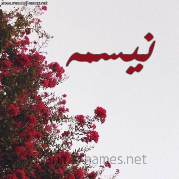 شكل 18 صوره الورد الأحمر للإسم بخط رقعة صورة اسم نيسمه Nesma