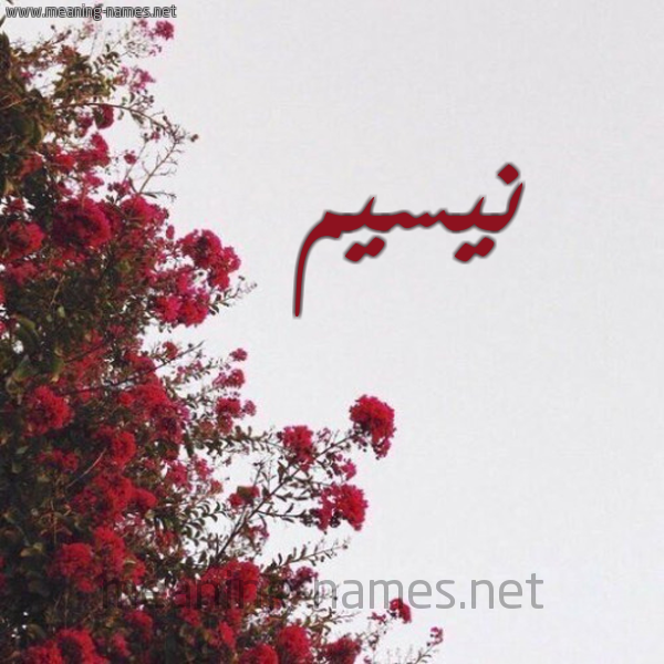 شكل 18 صوره الورد الأحمر للإسم بخط رقعة صورة اسم نيسيم Nassim
