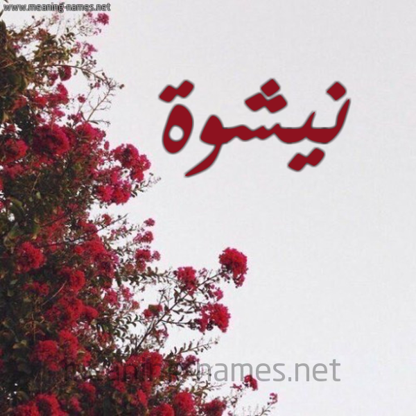 شكل 18 صوره الورد الأحمر للإسم بخط رقعة صورة اسم نيشوة Nashwa