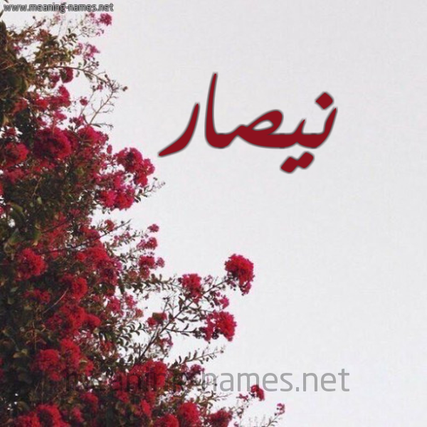 شكل 18 صوره الورد الأحمر للإسم بخط رقعة صورة اسم نيصار Nassar