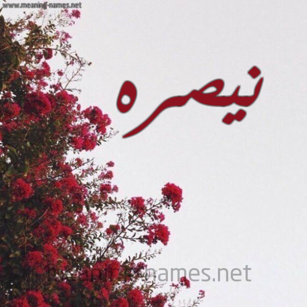 شكل 18 صوره الورد الأحمر للإسم بخط رقعة صورة اسم نيصره Nasra