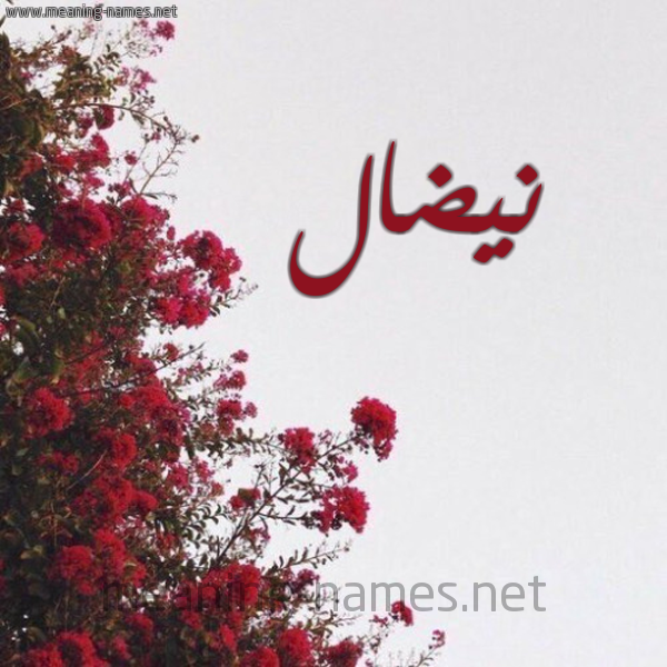شكل 18 صوره الورد الأحمر للإسم بخط رقعة صورة اسم نيضال Nidal