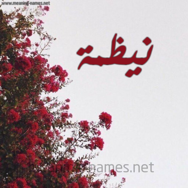 شكل 18 صوره الورد الأحمر للإسم بخط رقعة صورة اسم نيظمة Nazma