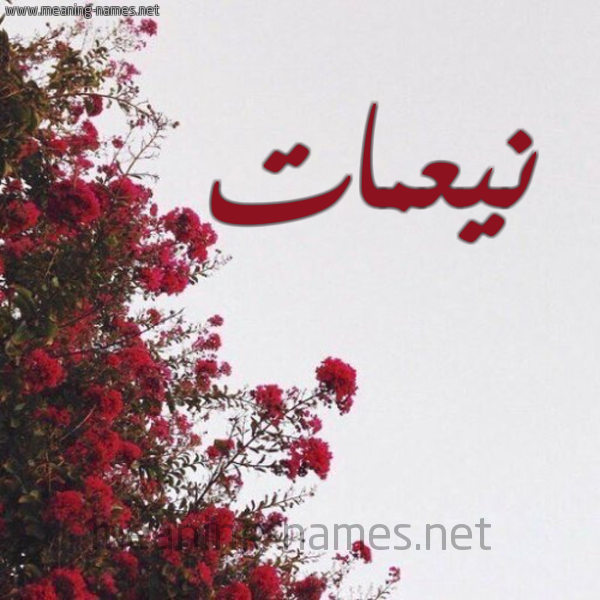 شكل 18 صوره الورد الأحمر للإسم بخط رقعة صورة اسم نيعمات Nemaat
