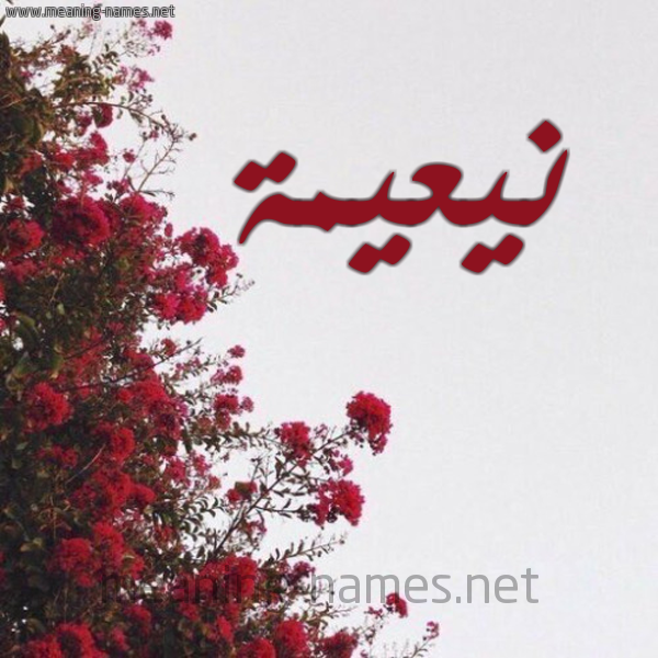 شكل 18 صوره الورد الأحمر للإسم بخط رقعة صورة اسم نيعيمة Naeema