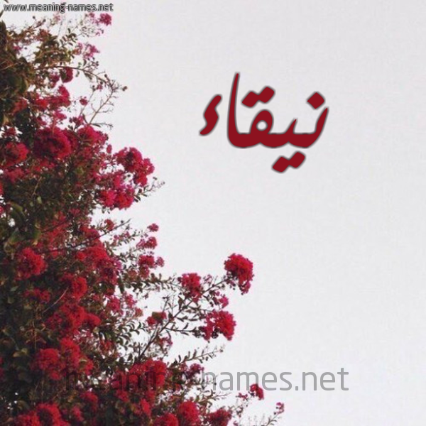 شكل 18 صوره الورد الأحمر للإسم بخط رقعة صورة اسم نيقاء Naqaa