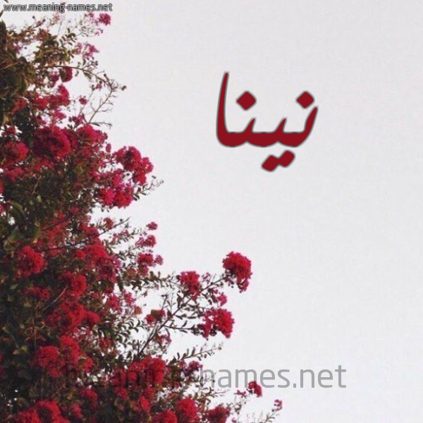 شكل 18 صوره الورد الأحمر للإسم بخط رقعة صورة اسم نينا NINA