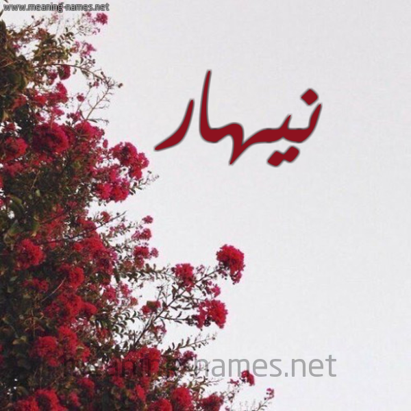 شكل 18 صوره الورد الأحمر للإسم بخط رقعة صورة اسم نيهار nihar