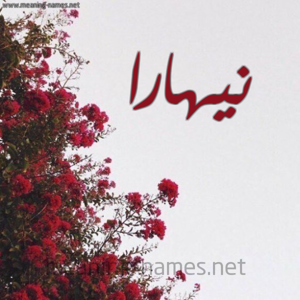 شكل 18 صوره الورد الأحمر للإسم بخط رقعة صورة اسم نيهارا Nahara