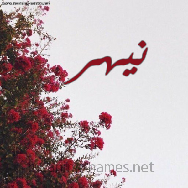 شكل 18 صوره الورد الأحمر للإسم بخط رقعة صورة اسم نيهر Nahr