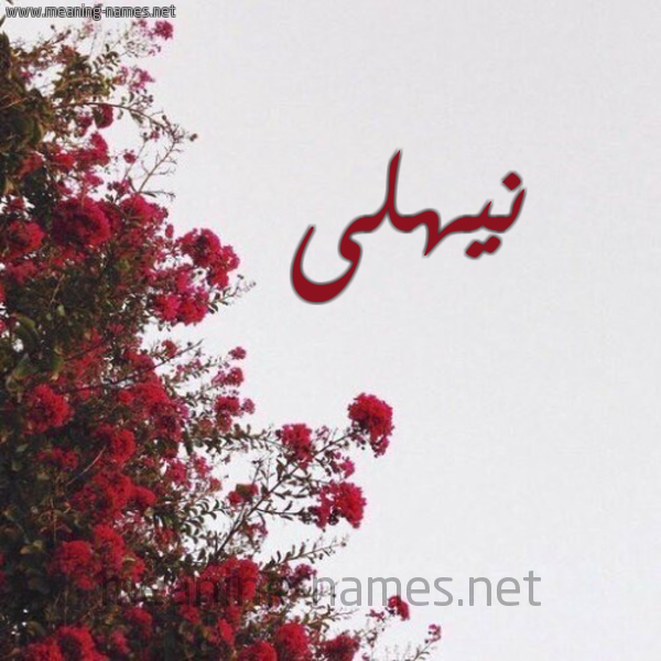 شكل 18 صوره الورد الأحمر للإسم بخط رقعة صورة اسم نيهلى Nahla