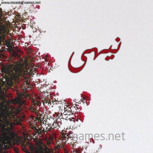 شكل 18 صوره الورد الأحمر للإسم بخط رقعة صورة اسم نيهى Noha