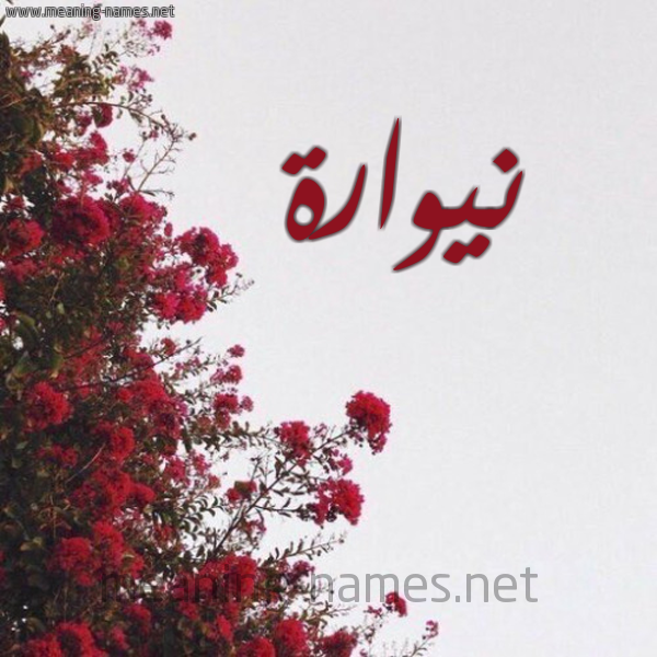 شكل 18 صوره الورد الأحمر للإسم بخط رقعة صورة اسم نيوارة Nawara