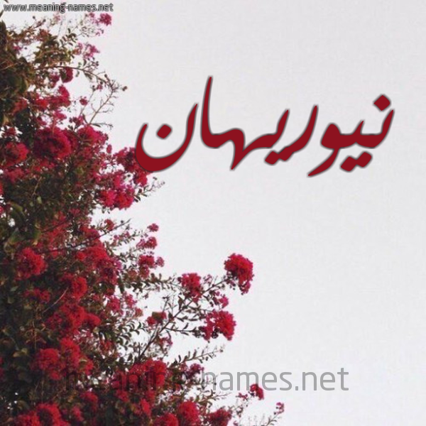 شكل 18 صوره الورد الأحمر للإسم بخط رقعة صورة اسم نيوريهان Nourihan