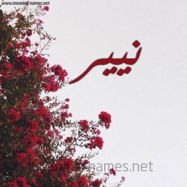 شكل 18 صوره الورد الأحمر للإسم بخط رقعة صورة اسم نيير Nair