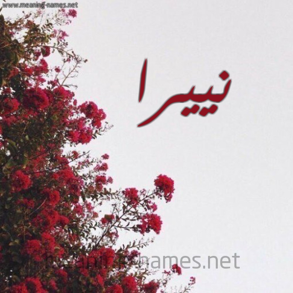 شكل 18 صوره الورد الأحمر للإسم بخط رقعة صورة اسم نييرا Nira