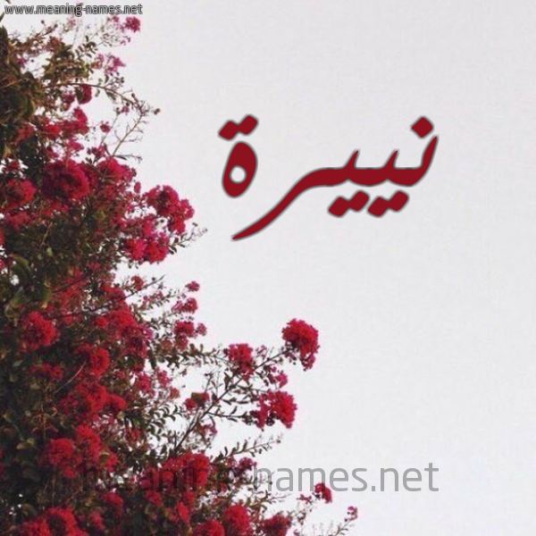 شكل 18 صوره الورد الأحمر للإسم بخط رقعة صورة اسم نييرة Nayera