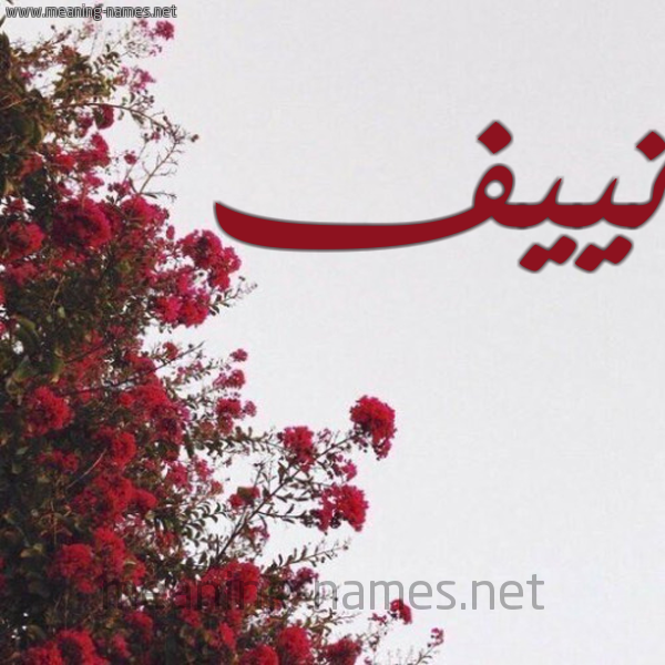 شكل 18 صوره الورد الأحمر للإسم بخط رقعة صورة اسم نييف Naif