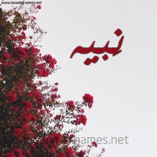 شكل 18 صوره الورد الأحمر للإسم بخط رقعة صورة اسم نَبيه NABIH