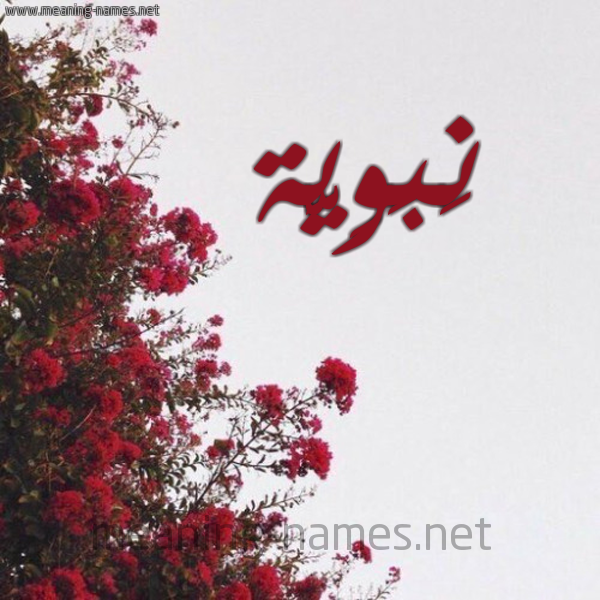 صورة اسم نَبَوِيَّة NABAOEIAH شكل 18 صوره الورد الأحمر للإسم بخط رقعة صورة اسم نَبَوِيَّة NABAOEIAH شكل 18 صوره الورد الأحمر للإسم بخط رقعة