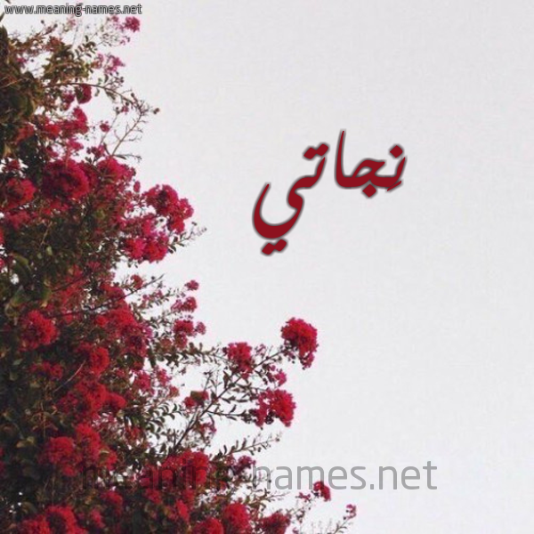 شكل 18 صوره الورد الأحمر للإسم بخط رقعة صورة اسم نَجاتي NAGATI