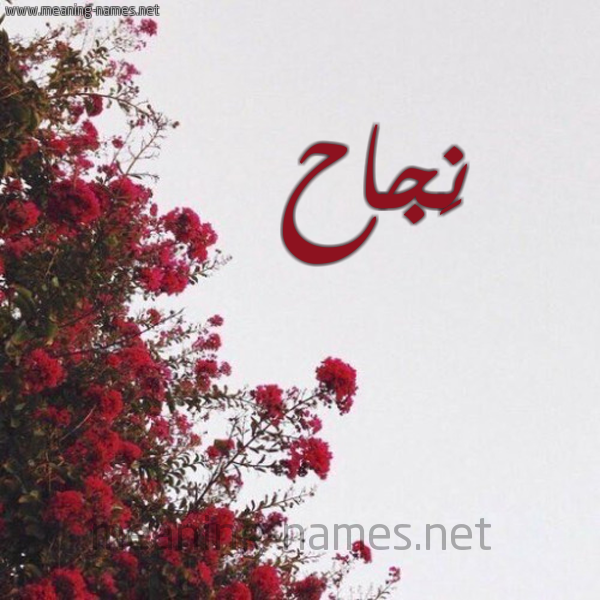 شكل 18 صوره الورد الأحمر للإسم بخط رقعة صورة اسم نَجاح NAGAH