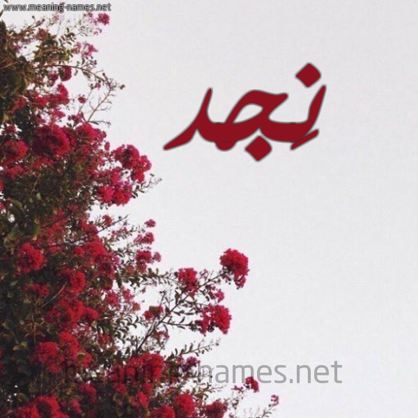 شكل 18 صوره الورد الأحمر للإسم بخط رقعة صورة اسم نَجْد NAGD