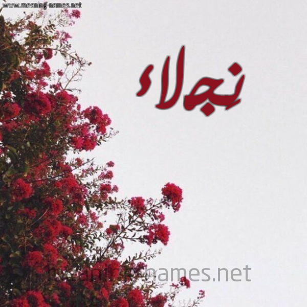 شكل 18 صوره الورد الأحمر للإسم بخط رقعة صورة اسم نَجْلاء NAGLAA