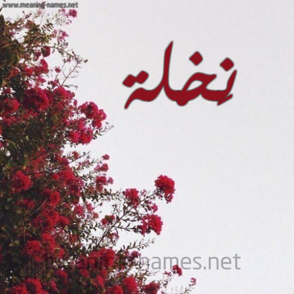 شكل 18 صوره الورد الأحمر للإسم بخط رقعة صورة اسم نَخْلة NAKHLH