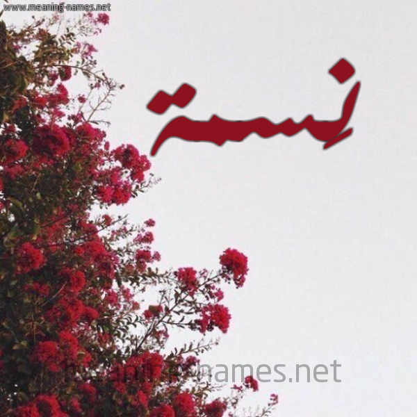 شكل 18 صوره الورد الأحمر للإسم بخط رقعة صورة اسم نَسمة NASMH