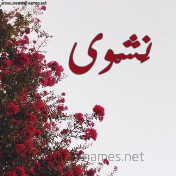 شكل 18 صوره الورد الأحمر للإسم بخط رقعة صورة اسم نَشْوى NASHOA