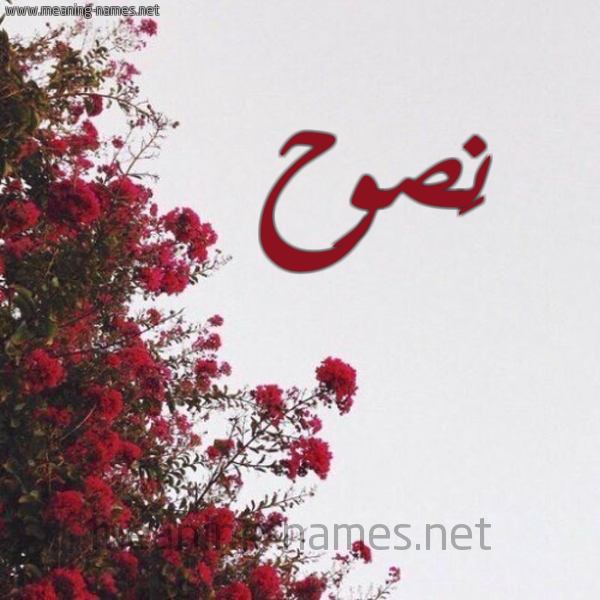 شكل 18 صوره الورد الأحمر للإسم بخط رقعة صورة اسم نَصوح NASOH