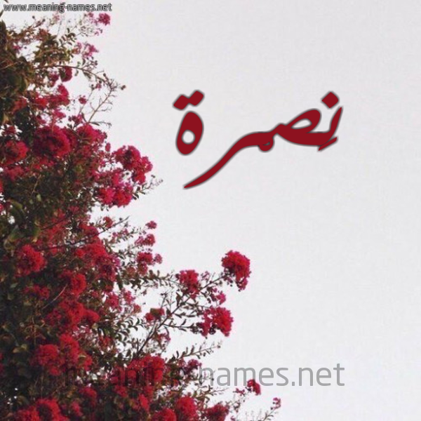 شكل 18 صوره الورد الأحمر للإسم بخط رقعة صورة اسم نَصْرة NASRH