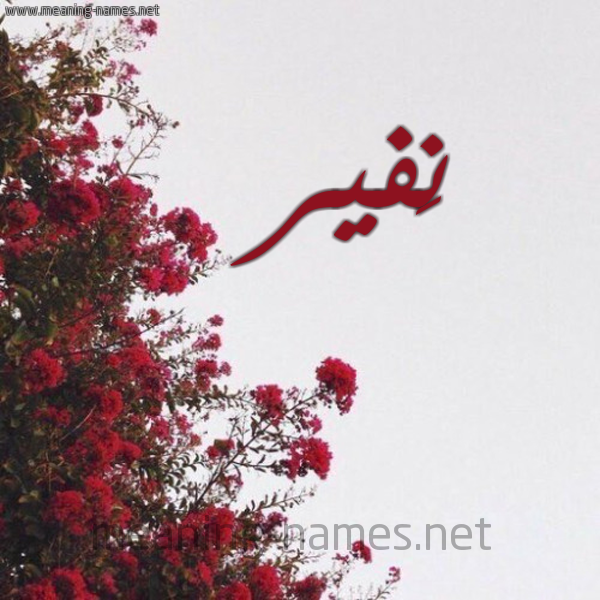 شكل 18 صوره الورد الأحمر للإسم بخط رقعة صورة اسم نَفير NAFIR