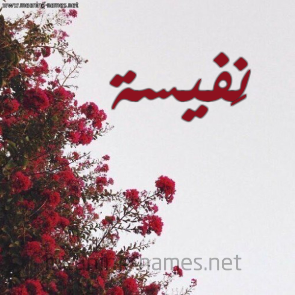 شكل 18 صوره الورد الأحمر للإسم بخط رقعة صورة اسم نَفيسة Nafisa