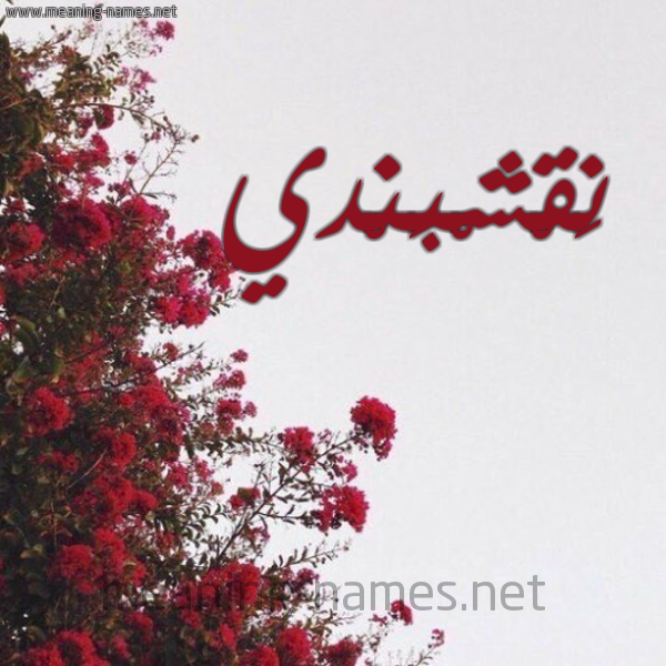 شكل 18 صوره الورد الأحمر للإسم بخط رقعة صورة اسم نَقْشْبَنْدي NAQSHBANDI