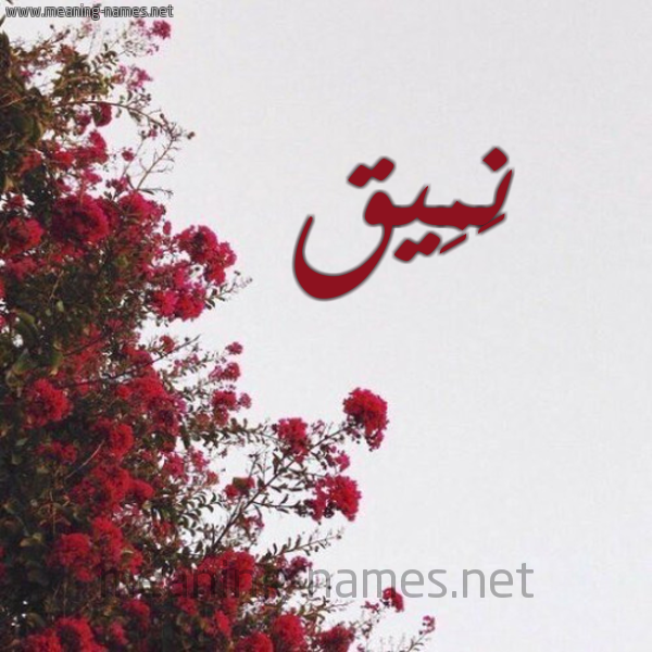 شكل 18 صوره الورد الأحمر للإسم بخط رقعة صورة اسم نَمِيق NAMEIQ