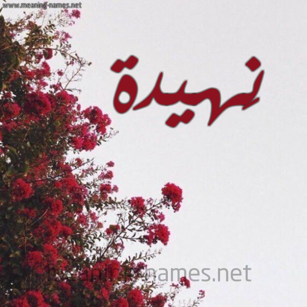 شكل 18 صوره الورد الأحمر للإسم بخط رقعة صورة اسم نَهيدة NAHIDH