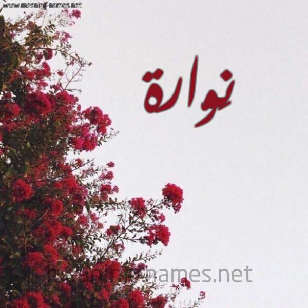 شكل 18 صوره الورد الأحمر للإسم بخط رقعة صورة اسم نَوّارة NAOARH
