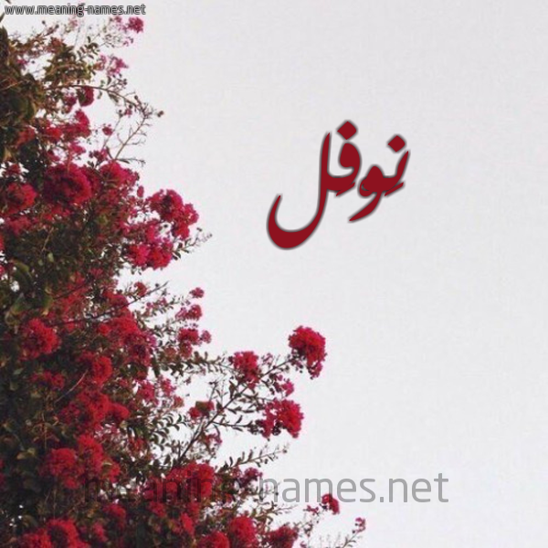شكل 18 صوره الورد الأحمر للإسم بخط رقعة صورة اسم نَوْفَل NAOFAL