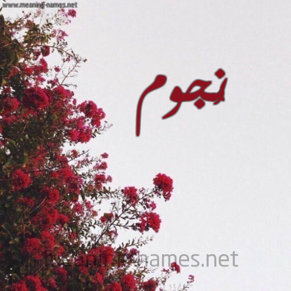 شكل 18 صوره الورد الأحمر للإسم بخط رقعة صورة اسم نُجوم NOGOM