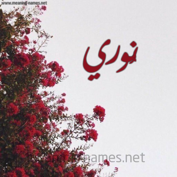 شكل 18 صوره الورد الأحمر للإسم بخط رقعة صورة اسم نُوري NOORI