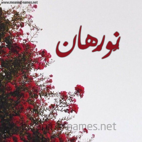 شكل 18 صوره الورد الأحمر للإسم بخط رقعة صورة اسم نُورْهان NOORHAN