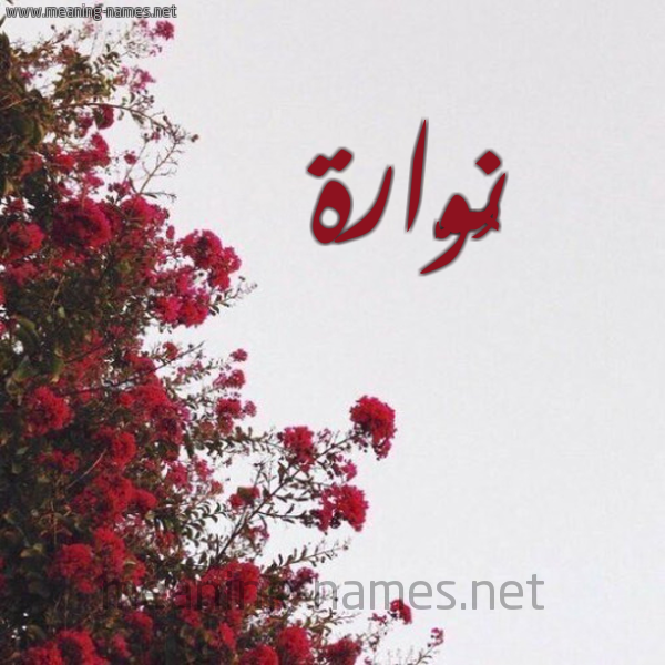 شكل 18 صوره الورد الأحمر للإسم بخط رقعة صورة اسم نُوَّارة NOOAARH