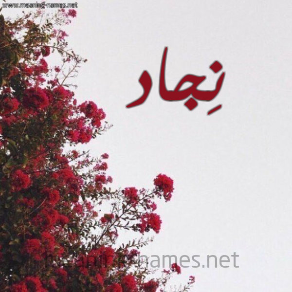شكل 18 صوره الورد الأحمر للإسم بخط رقعة صورة اسم نِجاد NEGAD