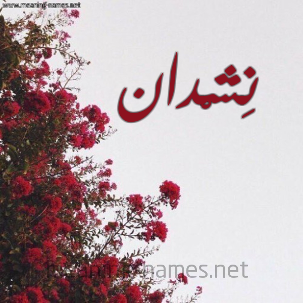 شكل 18 صوره الورد الأحمر للإسم بخط رقعة صورة اسم نِشْدان NESHDAN