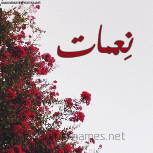 شكل 18 صوره الورد الأحمر للإسم بخط رقعة صورة اسم نِعْمات NEAMAT