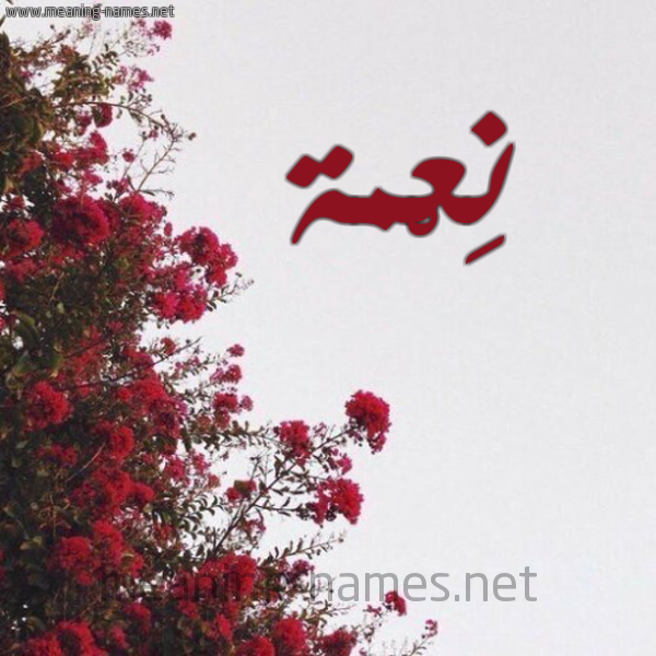 شكل 18 صوره الورد الأحمر للإسم بخط رقعة صورة اسم نِعْمة NEAMH