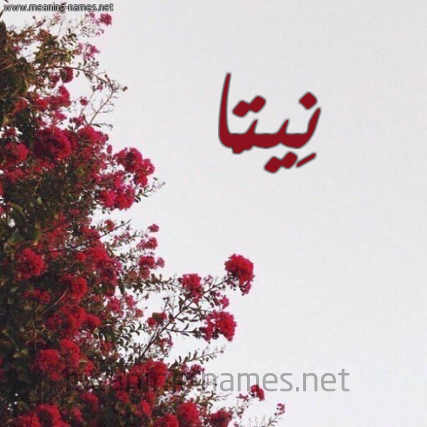 صورة اسم نِيتَّا NEITAA شكل 18 صوره الورد الأحمر للإسم بخط رقعة صورة اسم نِيتَّا NEITAA شكل 18 صوره الورد الأحمر للإسم بخط رقعة