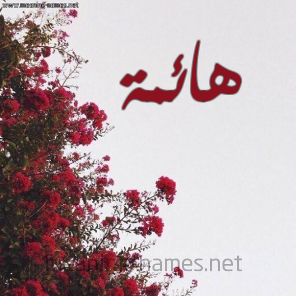 شكل 18 صوره الورد الأحمر للإسم بخط رقعة صورة اسم هائمة HAEMH